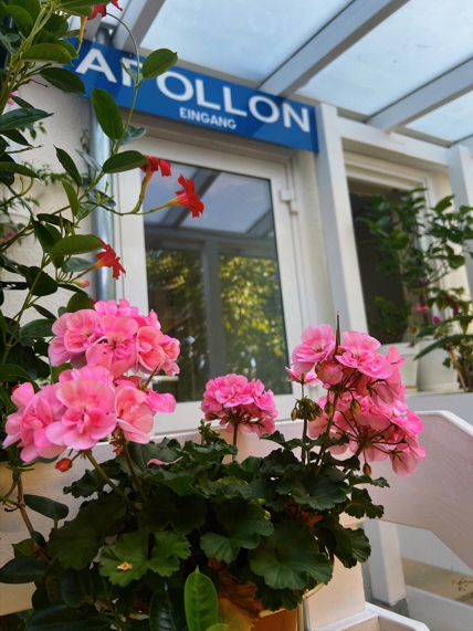 Restaurant Apollon Göttingen - Hauptstr. 44